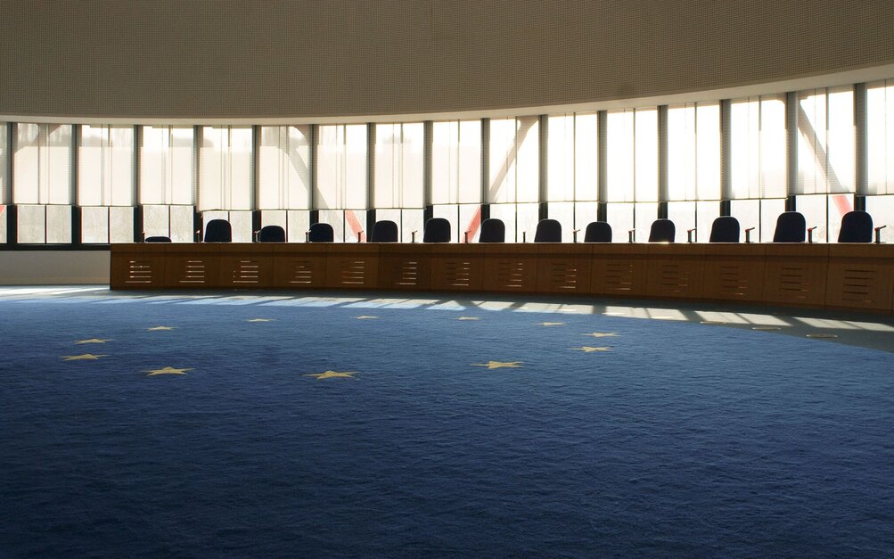 European court of sales human rights decisions